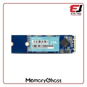 MemoryGhost 256GB M.2 SSD